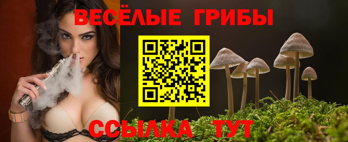 Псилоцибиновые грибы прущие грибы  Галлюциногенные грибы MAGIC MUSHROOMS  как найти закладки  Коломна  Вход с VPN 