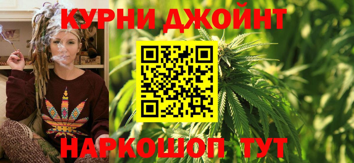 Каннабис сатива Коломна